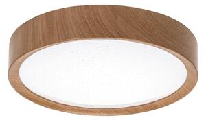 Aigostar - LED Stropní svítidlo LED/12W/230V 6500K pr. 26,3 cm
