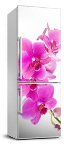Nálepka fototapeta Růžová orchidej FridgeStick-70x190-f-67673367
