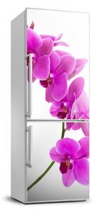 Nálepka fototapeta Růžová orchidej FridgeStick-70x190-f-67691978