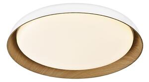 Top Light-LED Stm. stropní svítidlo SATELLITE LED/48W/230V 3000-6500K bílá + DO