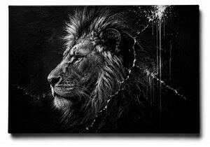 KRAFTHOUSE.EU Lion | 100% bavlna | Různé rozměry Velikost: 40 x 30 cm
