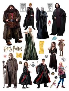 Dětská samolepka na zeď Harry Potter | 65 x 85 cm | DDK2335