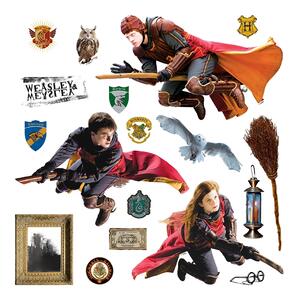 Dětská samolepka na zeď Harry Potter | 30 x 30 cm | DDKS3829