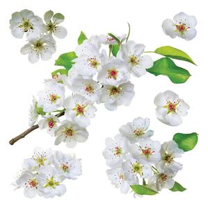 Samolepka na zeď Květ Jabloně | 30 x 30 cm | DSS3871