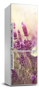Nálepka fototapeta Květiny levandule FridgeStick-70x190-f-81033568