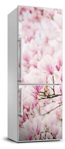Nálepka fototapeta Květiny magnolie FridgeStick-70x190-f-81680689