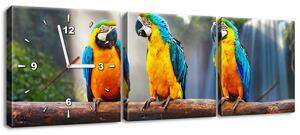 Obraz s hodinami Barevní papoušci - 3 dílný Rozměry: 90 x 30 cm