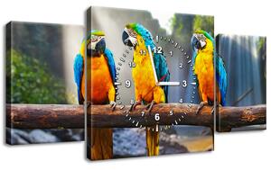Obraz s hodinami Barevní papoušci - 3 dílný Rozměry: 80 x 40 cm