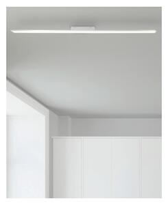 Brilliant - LED Stmívatelný panel CHARLA LED/22W/230V 7x120 cm 3000K