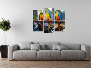 Obraz s hodinami Barevní papoušci - 3 dílný Rozměry: 90 x 70 cm