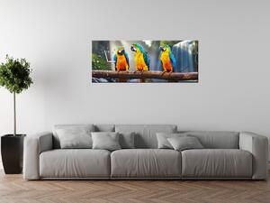 Obraz s hodinami Barevní papoušci Rozměry: 100 x 40 cm