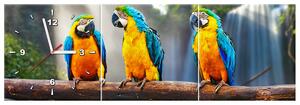 Obraz s hodinami Barevní papoušci - 3 dílný Rozměry: 90 x 30 cm