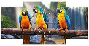 Obraz s hodinami Barevní papoušci - 3 dílný Rozměry: 80 x 40 cm