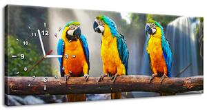 Obraz s hodinami Barevní papoušci Rozměry: 100 x 40 cm