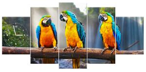 Obraz s hodinami Barevní papoušci - 5 dílný Rozměry: 150 x 70 cm