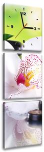 Obraz s hodinami Bílá orchidej a kameny - 3 dílný Rozměry: 100 x 70 cm