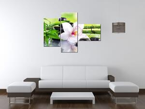 Obraz s hodinami Bílá orchidej a kameny - 3 dílný Rozměry: 80 x 40 cm