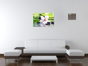 Obraz s hodinami Bílá orchidej a kameny Rozměry: 30 x 30 cm