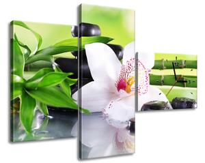 Obraz s hodinami Bílá orchidej a kameny - 3 dílný Rozměry: 80 x 40 cm