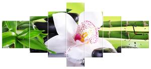 Obraz s hodinami Bílá orchidej a kameny - 7 dílný Rozměry: 160 x 70 cm