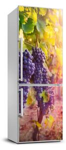 Nálepka na ledničku Příroda vinice FridgeStick-70x190-f-89292664