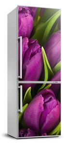 Nálepka fototapeta Fialové tulipány FridgeStick-70x190-f-89975331