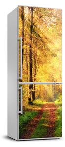 Nálepka fototapeta na ledničku Podzimní les FridgeStick-70x190-f-91078750