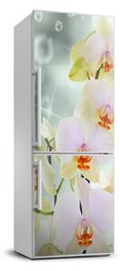 Nálepka fototapeta na ledničku Orchidej FridgeStick-70x190-f-91133337