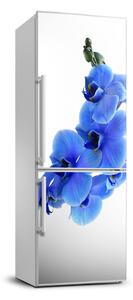 Nálepka fototapeta Modrá orchidej FridgeStick-70x190-f-91549599