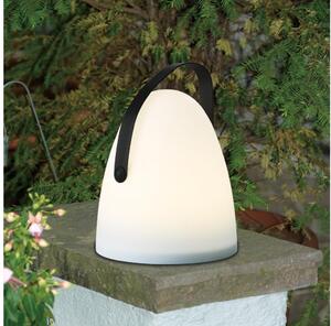 Eglo 48841 - LED Venkovní stolní lampa COLLIRADOS LED/3xAA IP44