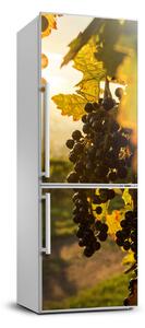 Nálepka na ledničku Příroda vinice FridgeStick-70x190-f-92882474