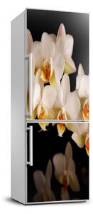 Nálepka fototapeta na ledničku Orchidej FridgeStick-70x190-f-95410450