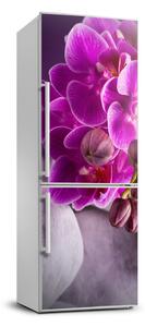 Nálepka fototapeta Růžová orchidej FridgeStick-70x190-f-95985968