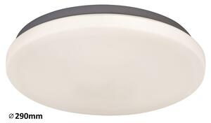 Rabalux LED stropní svítidlo Rob 1x20W | 1400lm | 4000K - průměr 29cm