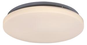 Rabalux LED stropní svítidlo Rob 1x20W | 1400lm | 3000K - průměr 29cm