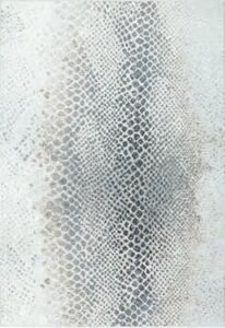 Luxusní koberce Osta Kusový koberec Piazzo 12263 910 - 160x230 cm