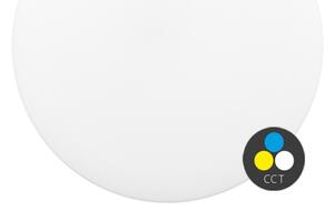 Ecolite WYB230-CCT/12W/BI - LED Stropní svítidlo DISK LED/12W/230V IP44 bílá