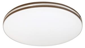Rabalux OSCAR2 LED stropní svítidlo 71173
