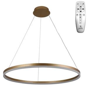 Brilagi - LED Stmívatelný lustr na lanku CIRCLE LED/55W/230V 3000-6500K zlatá+DO