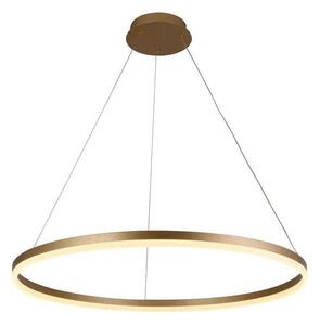 Brilagi - LED Stmívatelný lustr na lanku CIRCLE LED/55W/230V 3000-6500K zlatá+DO