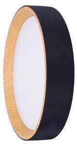 Solight WO8016 - LED Stm. strop. svítidlo LARIOS LED/48W/230V+DO pr.39 cm černá