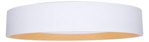 Solight WO8017 - LED Stm. strop. svítidlo LARIOS LED/48W/230V+DO pr.39 cm bílá