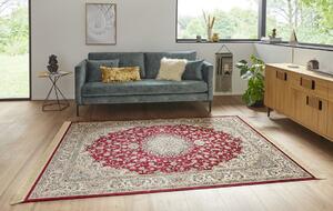 Nouristan - Hanse Home koberce Kusový koberec Naveh 104377 Red/Green - 195x300 cm