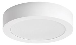 Rabalux SHAUN2 LED stropní svítidlo 71193