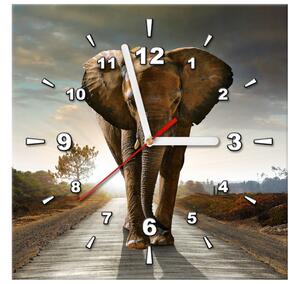 Obraz s hodinami Osamělý silný slon Rozměry: 40 x 40 cm