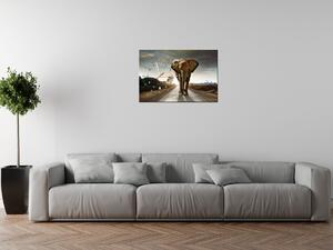Obraz s hodinami Osamělý silný slon Rozměry: 30 x 30 cm
