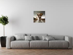 Obraz s hodinami Osamělý silný slon Rozměry: 60 x 40 cm