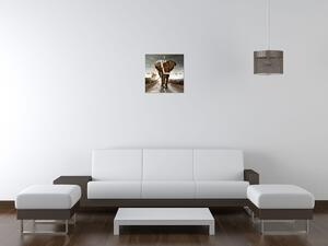 Obraz s hodinami Osamělý silný slon Rozměry: 100 x 40 cm