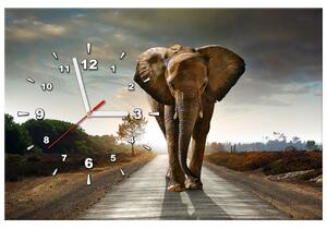 Obraz s hodinami Osamělý silný slon Rozměry: 30 x 30 cm