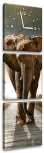 Obraz s hodinami Osamělý silný slon - 3 dílný Rozměry: 30 x 90 cm